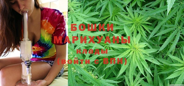 сатива Абаза